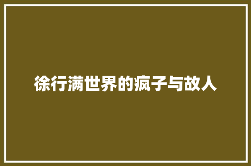 徐行满世界的疯子与故人