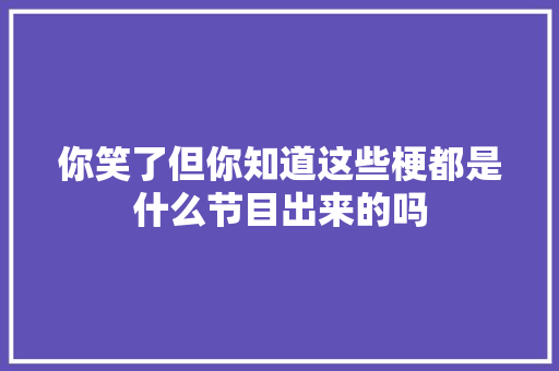 你笑了但你知道这些梗都是什么节目出来的吗