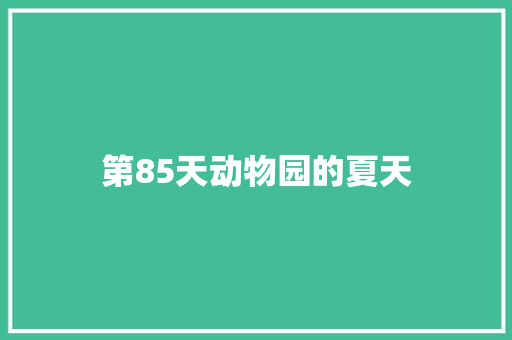 第85天动物园的夏天