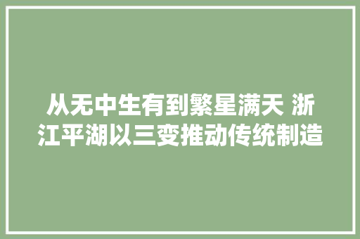 从无中生有到繁星满天 浙江平湖以三变推动传统制造家当转型进级