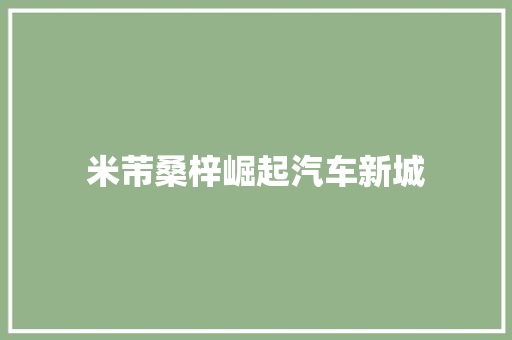米芾桑梓崛起汽车新城