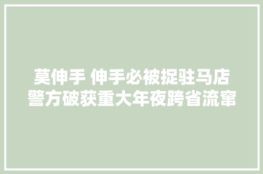 莫伸手 伸手必被捉驻马店警方破获重大年夜跨省流窜偷窃车内财物案