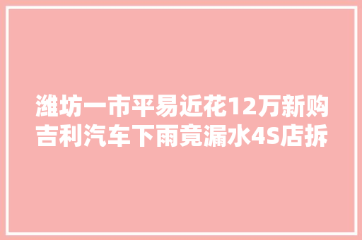 潍坊一市平易近花12万新购吉利汽车下雨竟漏水4S店拆检车辆找原因