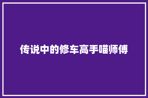 传说中的修车高手喵师傅
