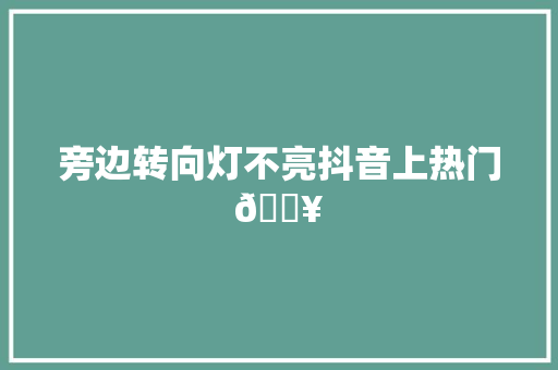 旁边转向灯不亮抖音上热门🔥