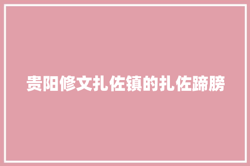 贵阳修文扎佐镇的扎佐蹄膀