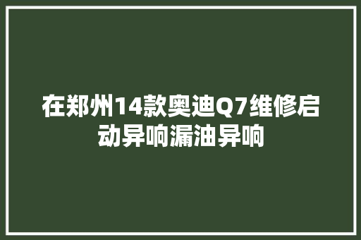 在郑州14款奥迪Q7维修启动异响漏油异响