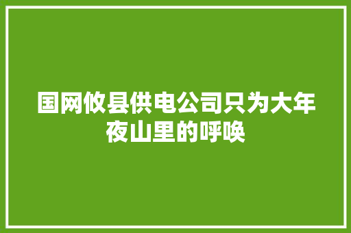 国网攸县供电公司只为大年夜山里的呼唤