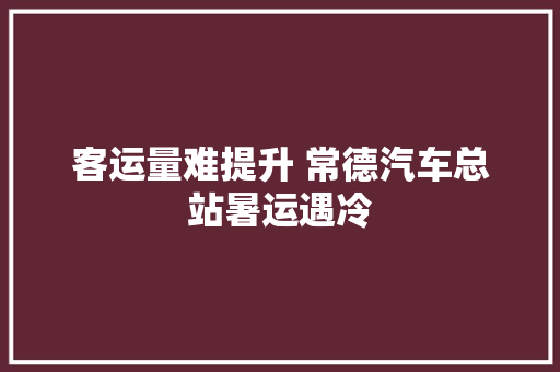 客运量难提升 常德汽车总站暑运遇冷