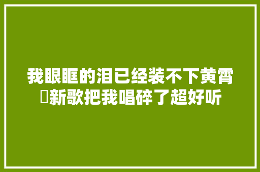 我眼眶的泪已经装不下黄霄雲新歌把我唱碎了超好听
