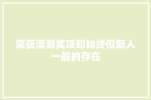 荣获浩瀚奖项却始终似新人一般的存在