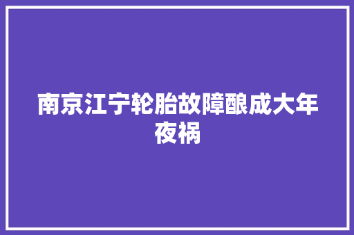 南京江宁轮胎故障酿成大年夜祸