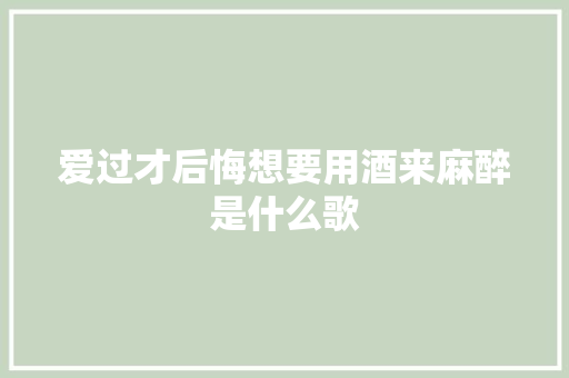 爱过才后悔想要用酒来麻醉是什么歌