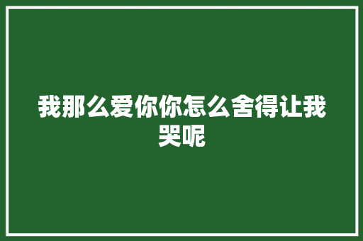 我那么爱你你怎么舍得让我哭呢