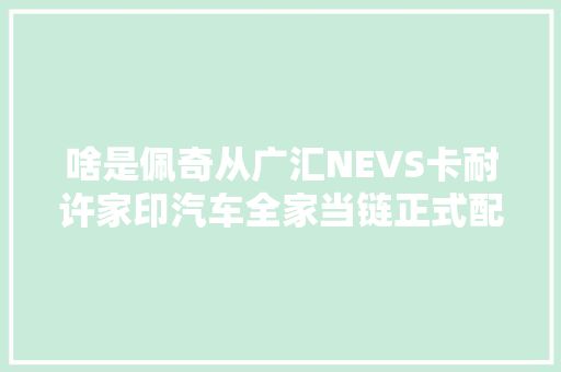 啥是佩奇从广汇NEVS卡耐许家印汽车全家当链正式配齐