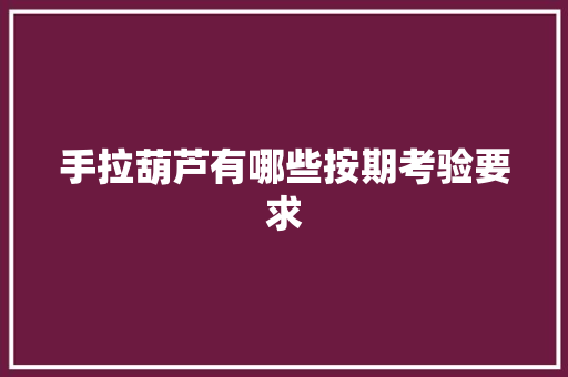 手拉葫芦有哪些按期考验要求