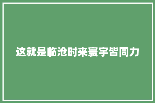 这就是临沧时来寰宇皆同力