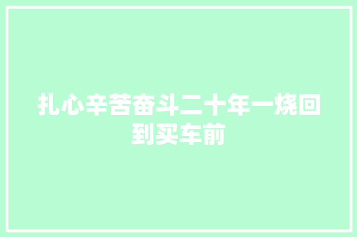 扎心辛苦奋斗二十年一烧回到买车前