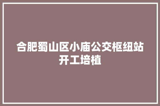 合肥蜀山区小庙公交枢纽站开工培植