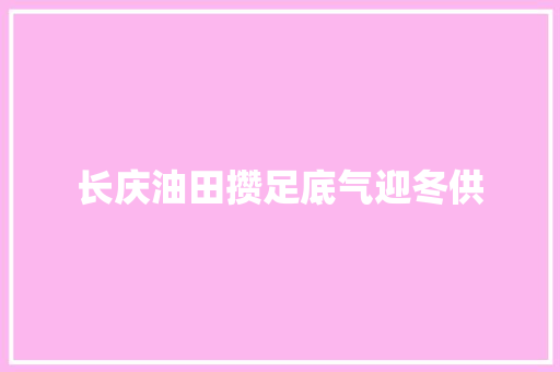 长庆油田攒足底气迎冬供