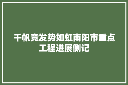千帆竞发势如虹南阳市重点工程进展侧记