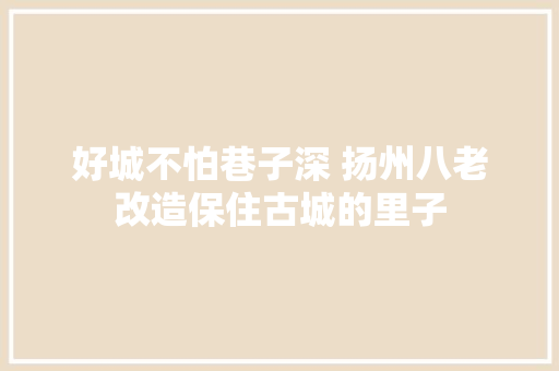 好城不怕巷子深 扬州八老改造保住古城的里子