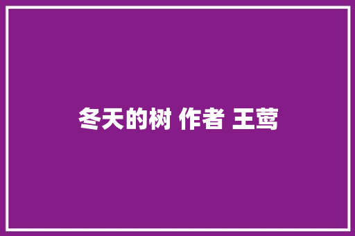 冬天的树 作者 王莺