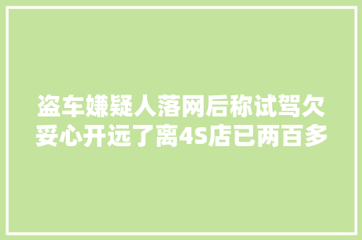 盗车嫌疑人落网后称试驾欠妥心开远了离4S店已两百多公里