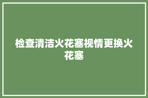 检查清洁火花塞视情更换火花塞