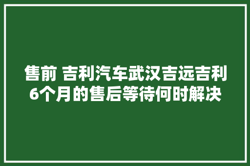 售前 吉利汽车武汉吉远吉利6个月的售后等待何时解决