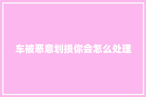 车被恶意划损你会怎么处理 汽车知识