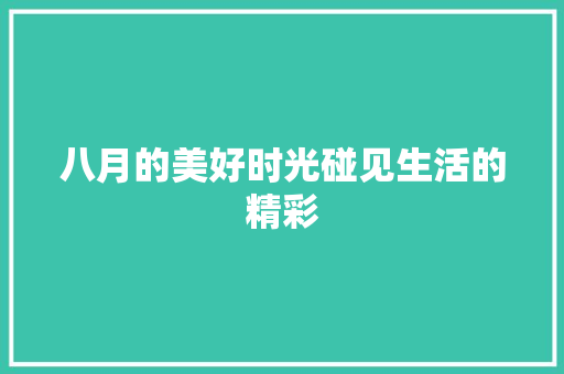 八月的美好时光碰见生活的精彩