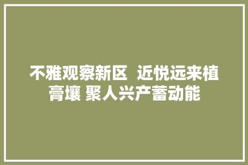 不雅观察新区  近悦远来植膏壤 聚人兴产蓄动能