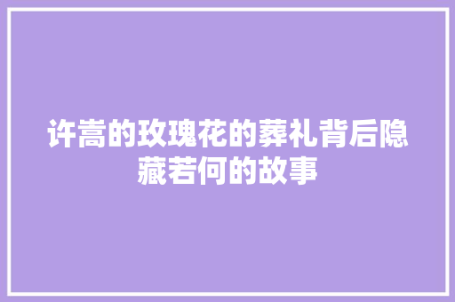 许嵩的玫瑰花的葬礼背后隐藏若何的故事