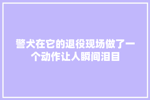 警犬在它的退役现场做了一个动作让人瞬间泪目
