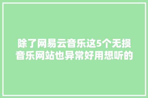 除了网易云音乐这5个无损音乐网站也异常好用想听的都能找到