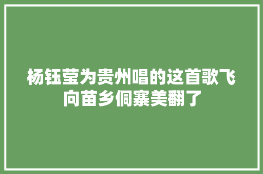 杨钰莹为贵州唱的这首歌飞向苗乡侗寨美翻了