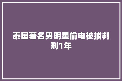 泰国著名男明星偷电被捕判刑1年