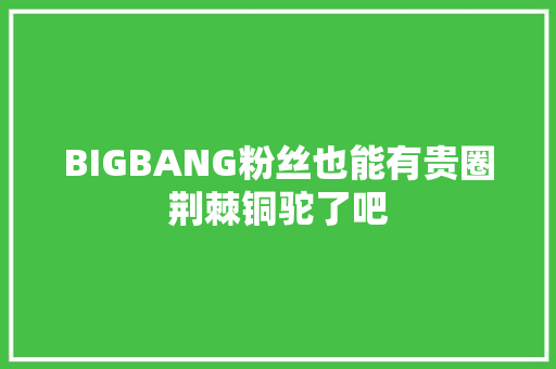 BIGBANG粉丝也能有贵圈荆棘铜驼了吧