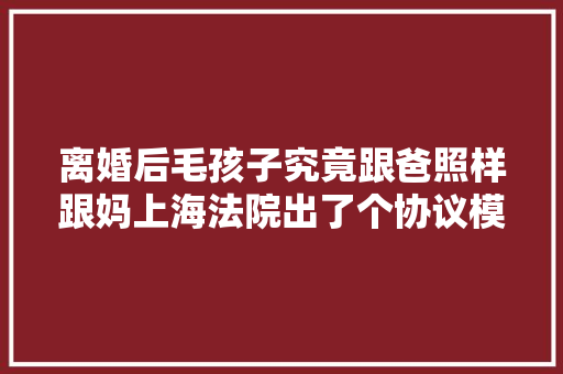离婚后毛孩子究竟跟爸照样跟妈上海法院出了个协议模版