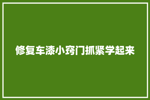 修复车漆小窍门抓紧学起来 汽车知识