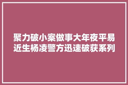 聚力破小案做事大年夜平易近生杨凌警方迅速破获系列偷窃电动车电瓶案件