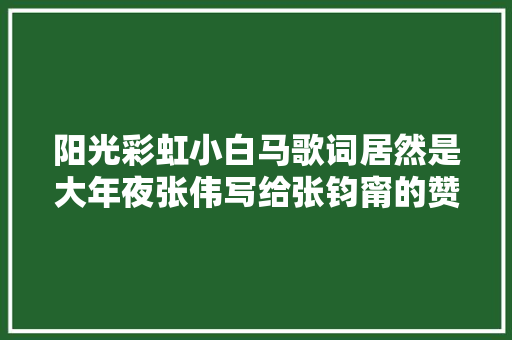 阳光彩虹小白马歌词居然是大年夜张伟写给张钧甯的赞她天使型人格