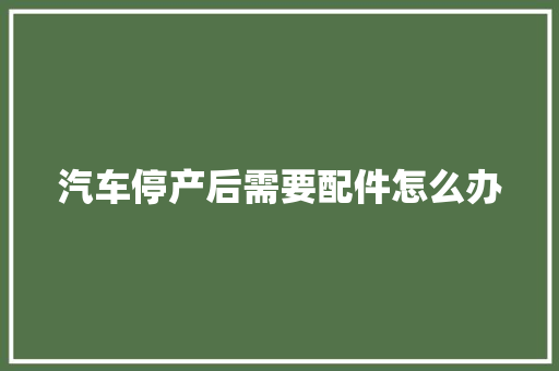 汽车停产后需要配件怎么办