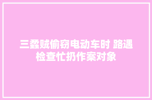 三蟊贼偷窃电动车时 路遇检查忙扔作案对象