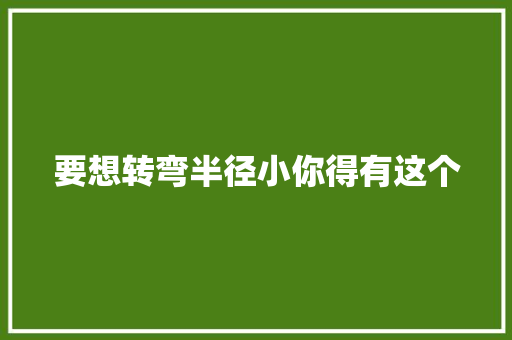 要想转弯半径小你得有这个