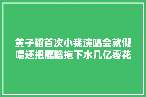 黄子韬首次小我演唱会就假唱还把鹿晗拖下水几亿零花钱也没什