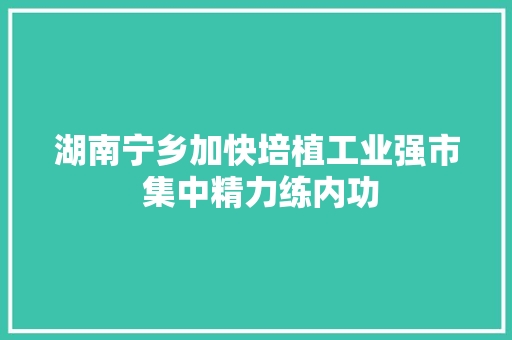 湖南宁乡加快培植工业强市 集中精力练内功
