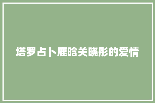 塔罗占卜鹿晗关晓彤的爱情 休闲娱乐