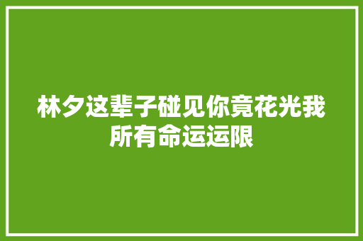 林夕这辈子碰见你竟花光我所有命运运限
